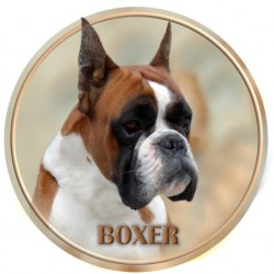 Boxer