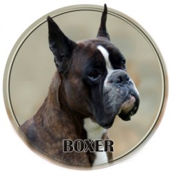 Boxer