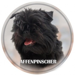Affenpincher