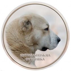 Sredneaziatskaya Ovtcharka  