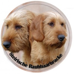 Styrian Coarse-haired Hound  