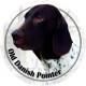 Old Danish Pointer