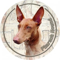 Pharaoh Hound