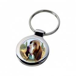 Bracco Italiano