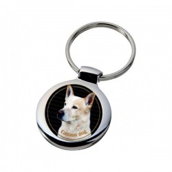 Canaan Dog