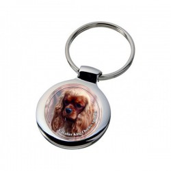 Cavalier King Charles Spaniel
