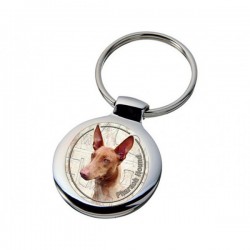 Pharaoh Hound