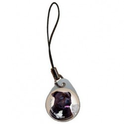 Staffordshire Bullterrier