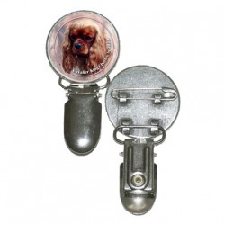 Cavalier King Charles Spaniel