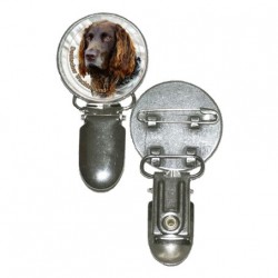 Deutscher Wachtelhund