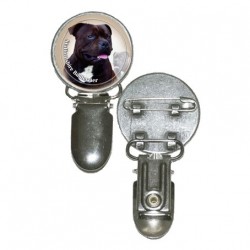 Staffordshire Bullterrier
