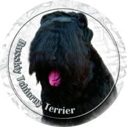 Black Terrier