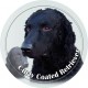 Curly Coated Retriever