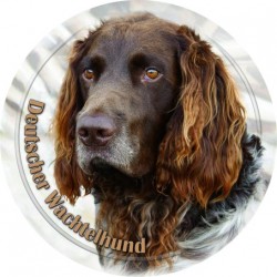 Deutscher Wachtelhund