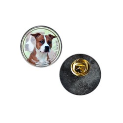 American Staffordshire Terrier