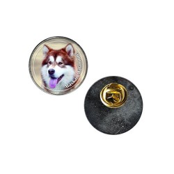 Alaskan Malamute