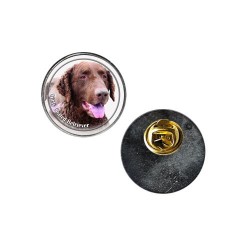 Curly Coated Retriever