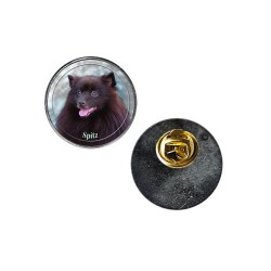Spitz