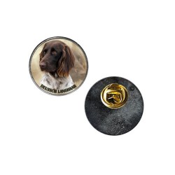 Deutscher Langhaariger Vorstehhund