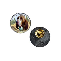 Bracco Italiano