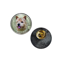 Norwich Terrier