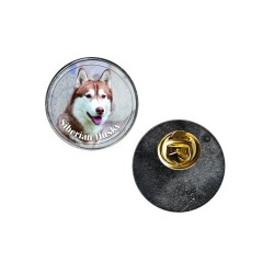 Siberian Husky