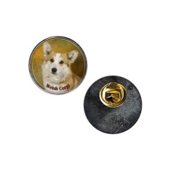 Welsh Corgi