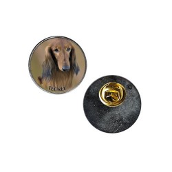 Dachshund