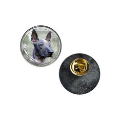 Xoloitzcuintle