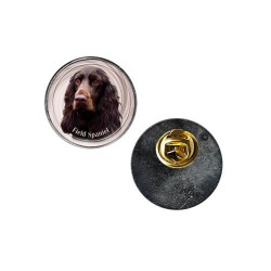 Field Spaniel