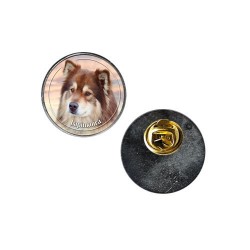 Finnish Lapphund