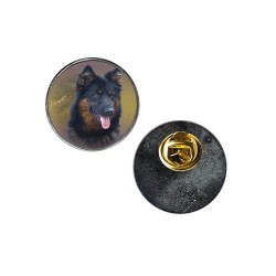 Old German Shepherd Dog