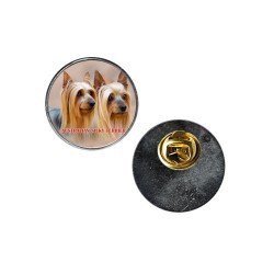 Australian Silky Terrier