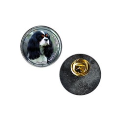Cavalier King Charles Spaniel