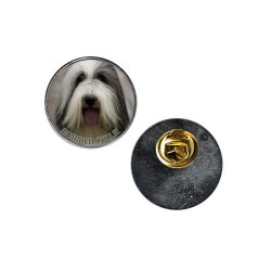 Bearded Collie