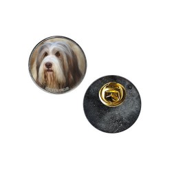 Bearded Collie