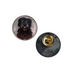 Cane da Pastore Bergamasco