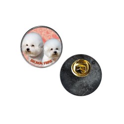 Bichon á poil Frisé