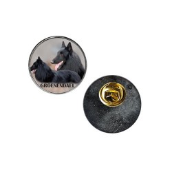 Belgian Shepherd Dog - Groenendael