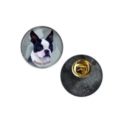 Boston Terrier