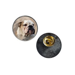 Bulldog