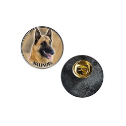 Belgian Shepherd Dog - Malinois