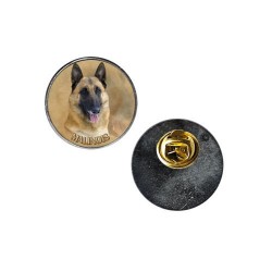 Belgian Shepherd Dog - Malinois
