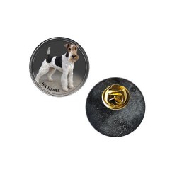 Fox Terrier