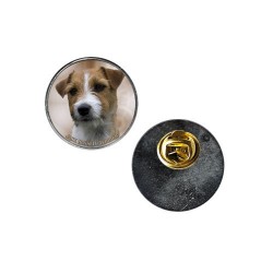 Jack Russell Terrier