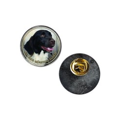 Kleiner Münsterländer Vorstehhund