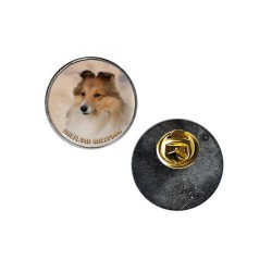 Shetland Sheepdog