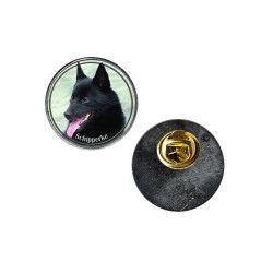 Schipperke