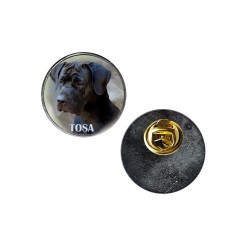 Tosa