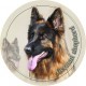 German Shepherd Dog